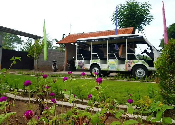 Orleans Guest house 2*